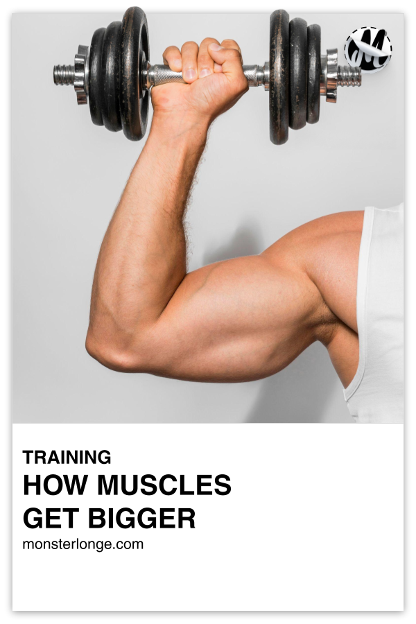 How Muscles Get Bigger written in text with image of a man's arm holding a dumbbell.